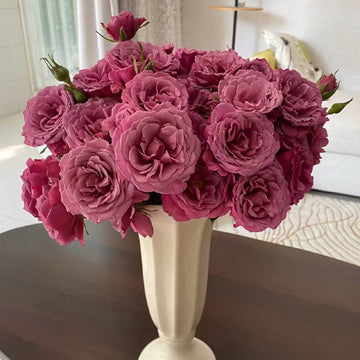 Aoi Rose
