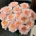 Miyabi Cha Rose