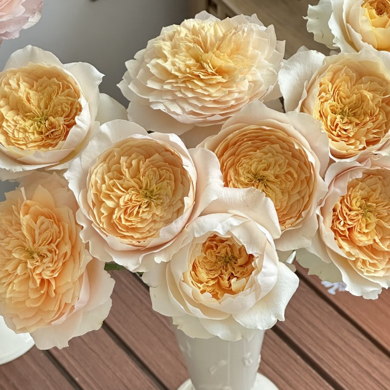 Effie Rose