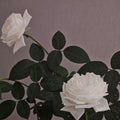 Pierre Arditi Rose