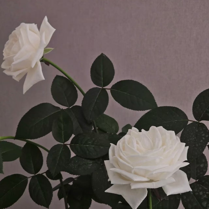 Pierre Arditi Rose