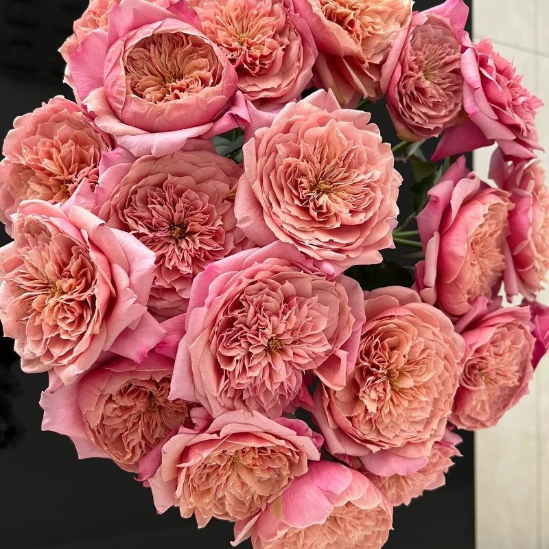 Miyabi Rose
