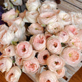 Sweet Diamond Rose