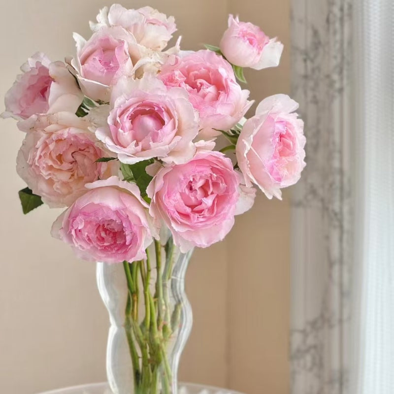 M-Perzik Rose