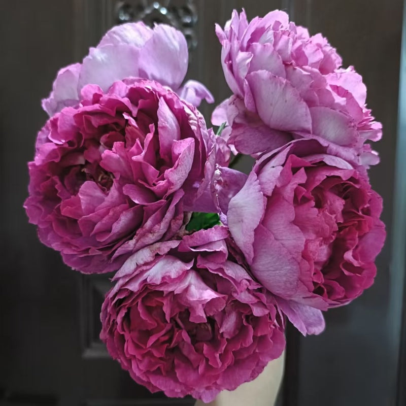 Rouge de Parfum Rose