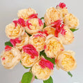 Fugetsu Rose