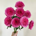 Abdel Rose - Coral-Pink Fragrant Hybrid Tea Rose Bloom in Garden
