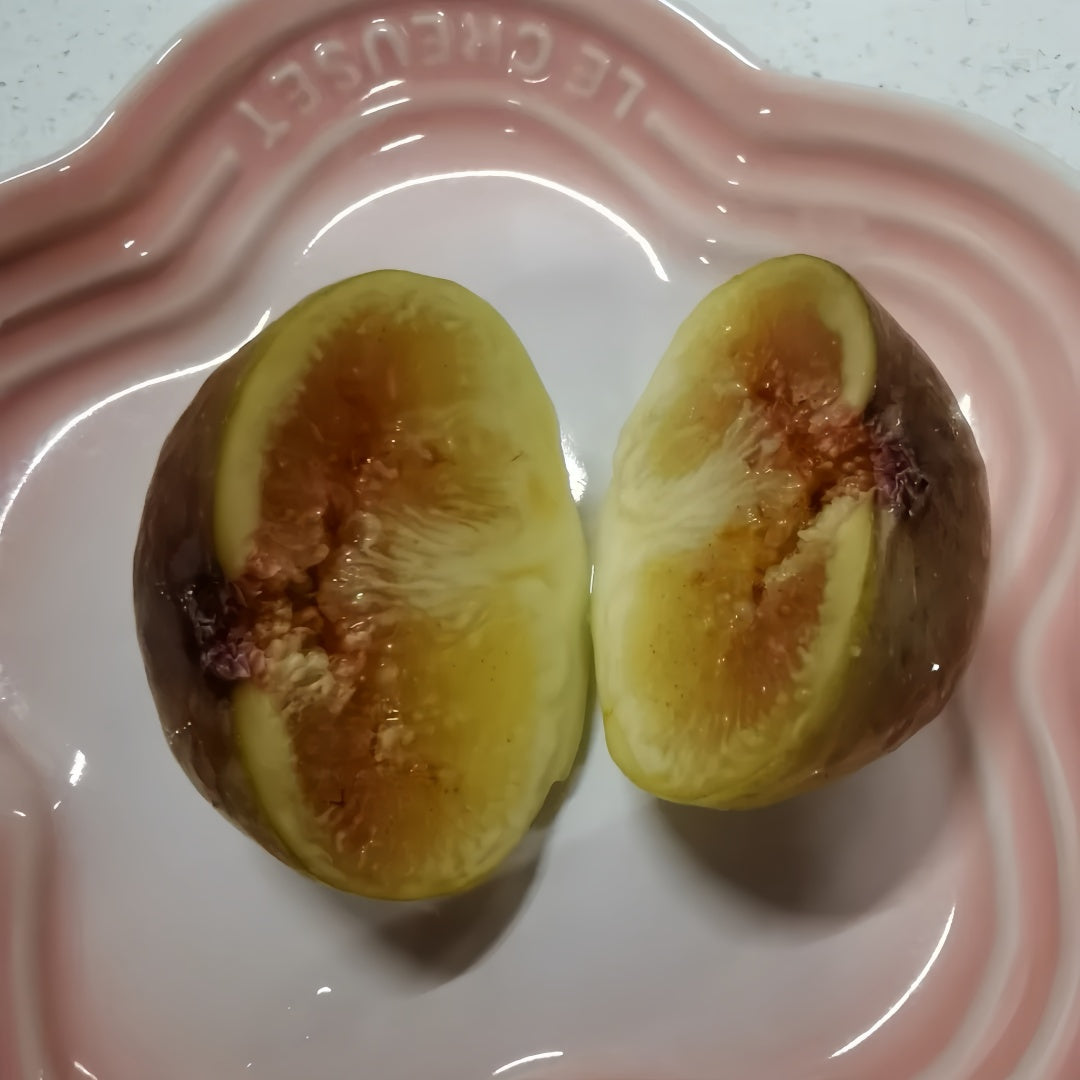 AlmaFigTree
