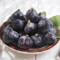 Ripe Black Mission figs hanging on branches in full sun garden