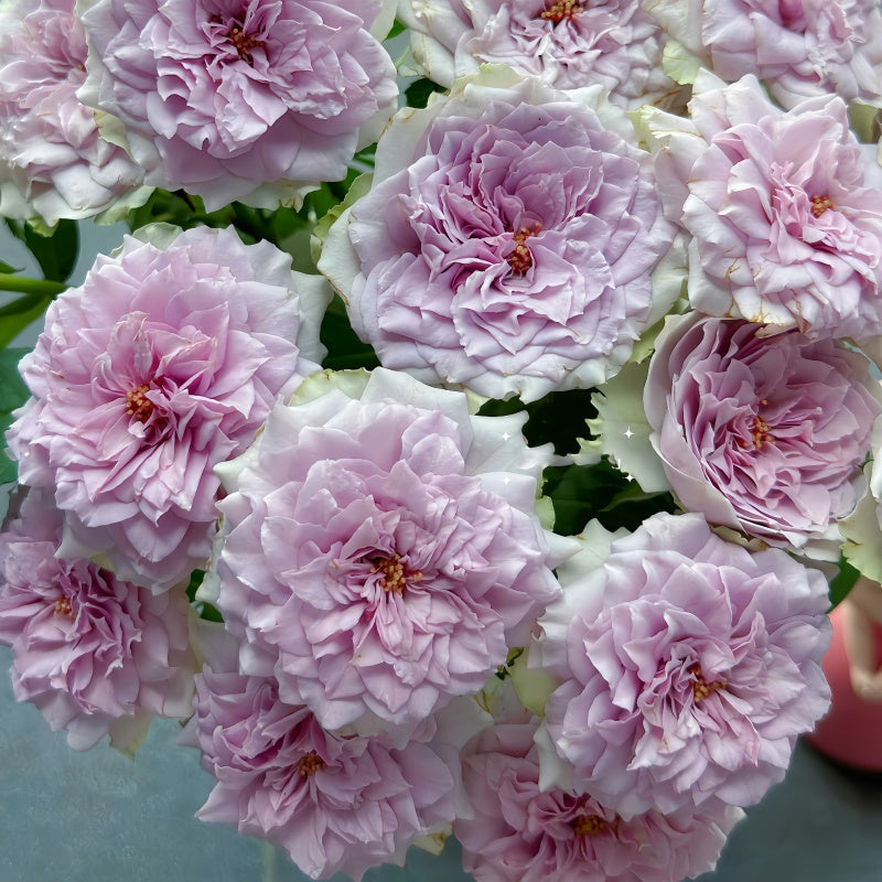 Coffret Rose
