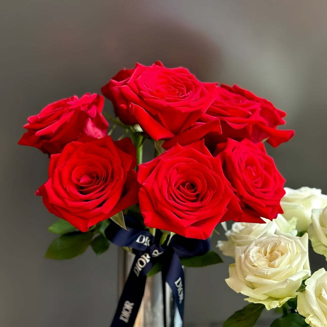 Freedom Rose Plant – Elegant Garden Rose – Fast-growing-Plant