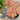 Grandma Ghost Japanese Maple Japanese Maple with seasonal foliage color
