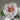 Hakumyo Peony bloom – pristine white layered petals symbolizing purity and elegance.