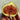 Hardy Fig Tree – Early-Ripening Cold-Hardy Figs with Sweet Honey-Berry Flavor