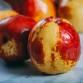 Honey Jar Jujube Tree with small round golden fruits under sunlight
