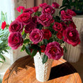 Detailed view of Hot Chocolate Rose petals with a subtle gradient from deep red to warm brown.