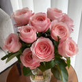 Katherine Rose garden rose with elegant blooms