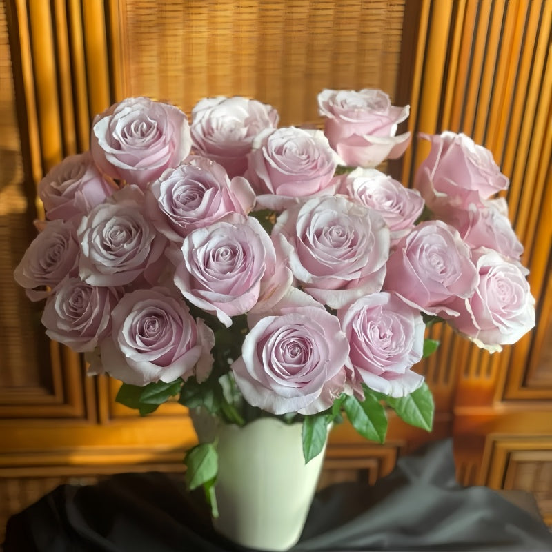 Cosette Rose from pinkish bud to soft white summer bloom