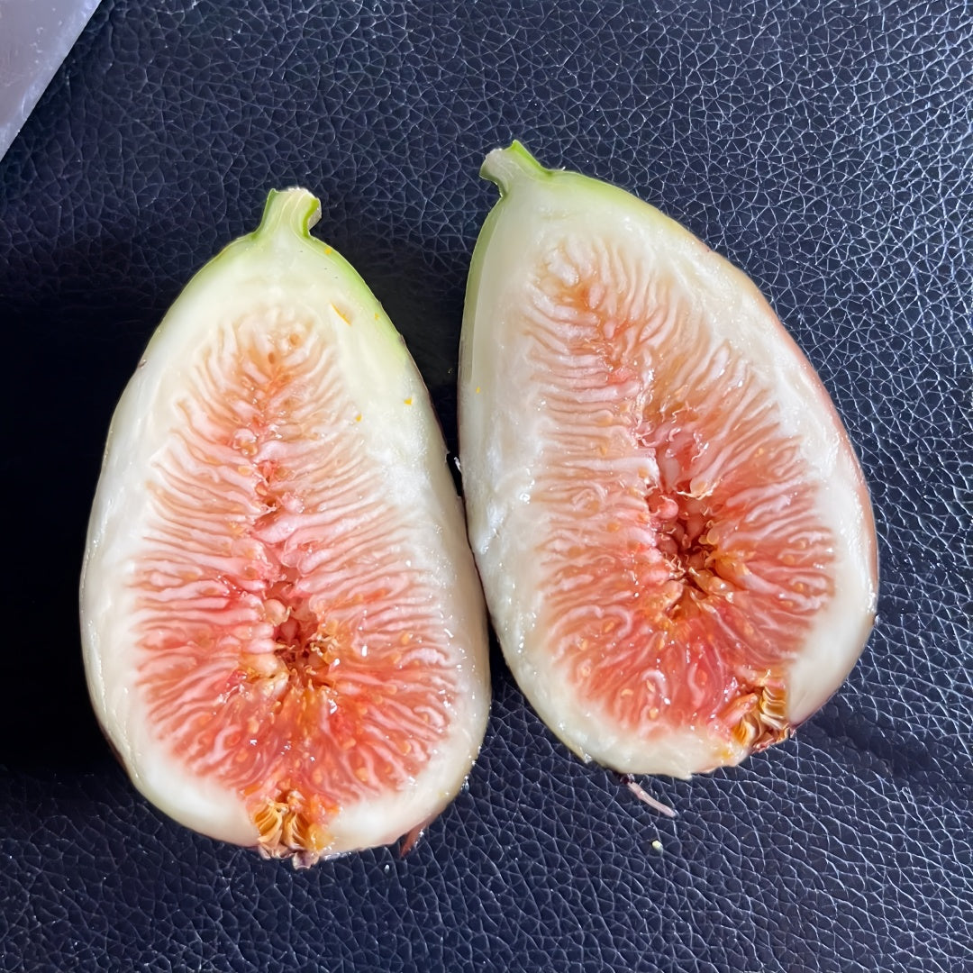 Ripe Lebanese Black figs with cracked black-purple skin