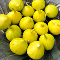 Harvested Orphan figs with golden skin, perfect for fresh eating and jam.