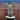 Pachypodium lamerei Tree ornamental plant in garden