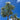Pachypodium lamerei Tree close-up foliage