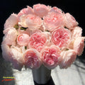 PeonyPinkRose