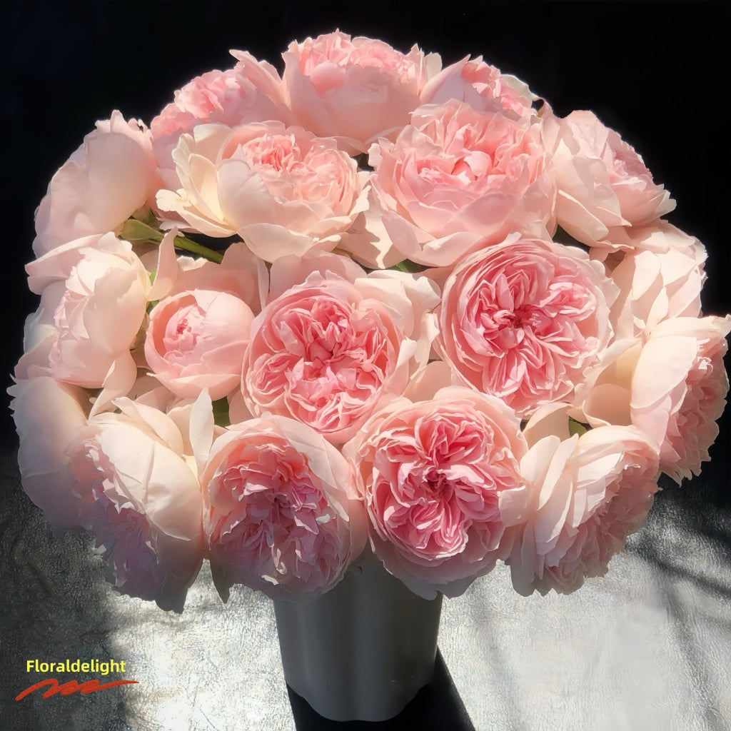 PeonyPinkRose
