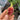 Ripe Ponte Tresa figs ready for harvest in summer sunlight