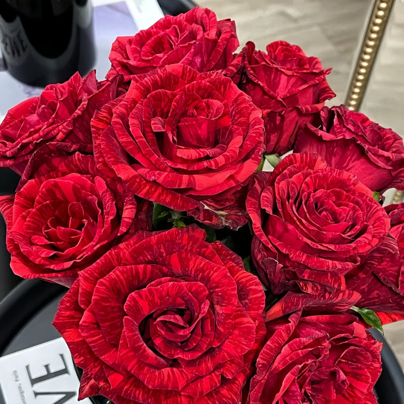 Red Intuition Rose