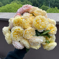 Roald Dahl Rose