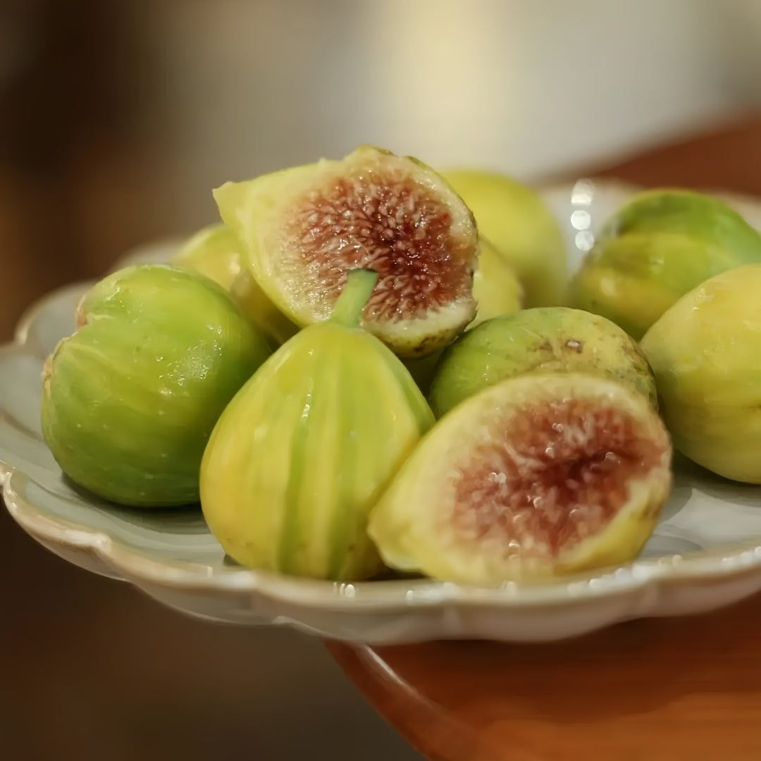 Large split-resistant Stella figs on healthy green tree