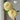 Peony ‘Sunshine Girl’ bloom – soft golden-yellow layered petals radiating cheerful sunlight charm.