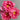 The First Dawn Peony – large multi-layered white, red, or purple bloom on a 1–1.5 m deciduous shrub of Chinese origin.