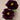 ‘Hei Bao’ Peony bloom – deep black-red, glossy ruffled petals with strong fragrance.