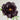 ‘Hei Bao’ Peony bloom – deep black-red, glossy ruffled petals with strong fragrance.
