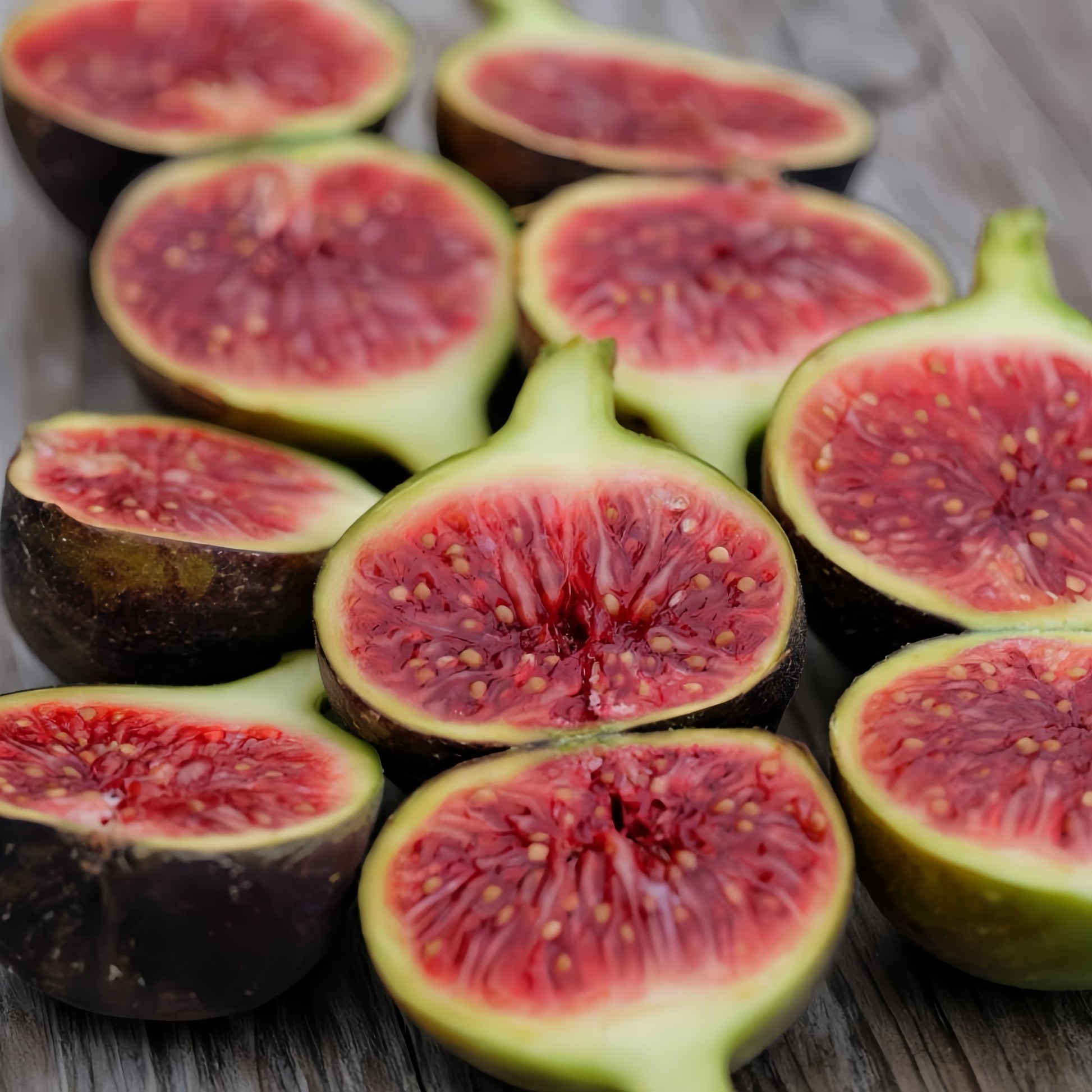 Violetta Fig Tree