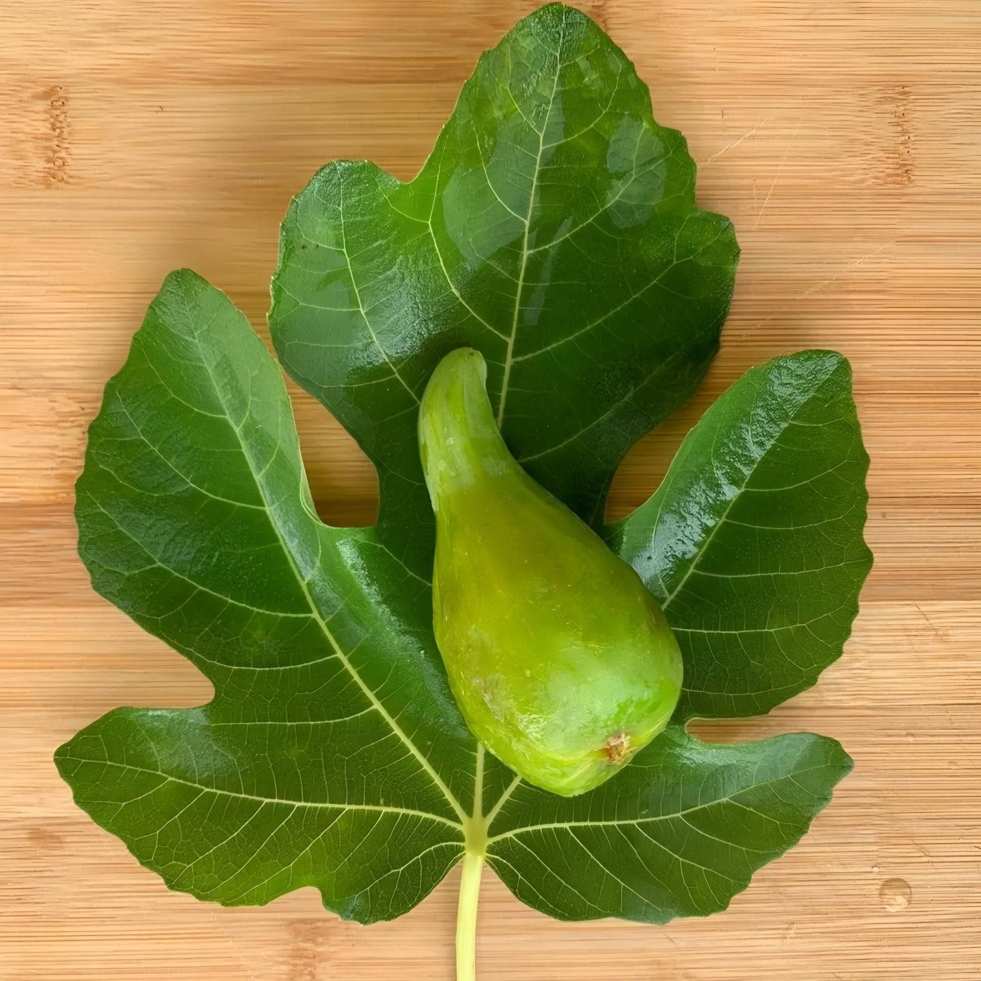 Freshly cut White Adriatic Fig with vibrant strawberry-colored interior.