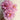 Yu Lou Chun Peony – soft pink-white double bloom with lilac-edged petals in classic Jiangnan garden style.