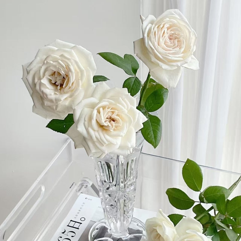 Jeanne Moreau Rose