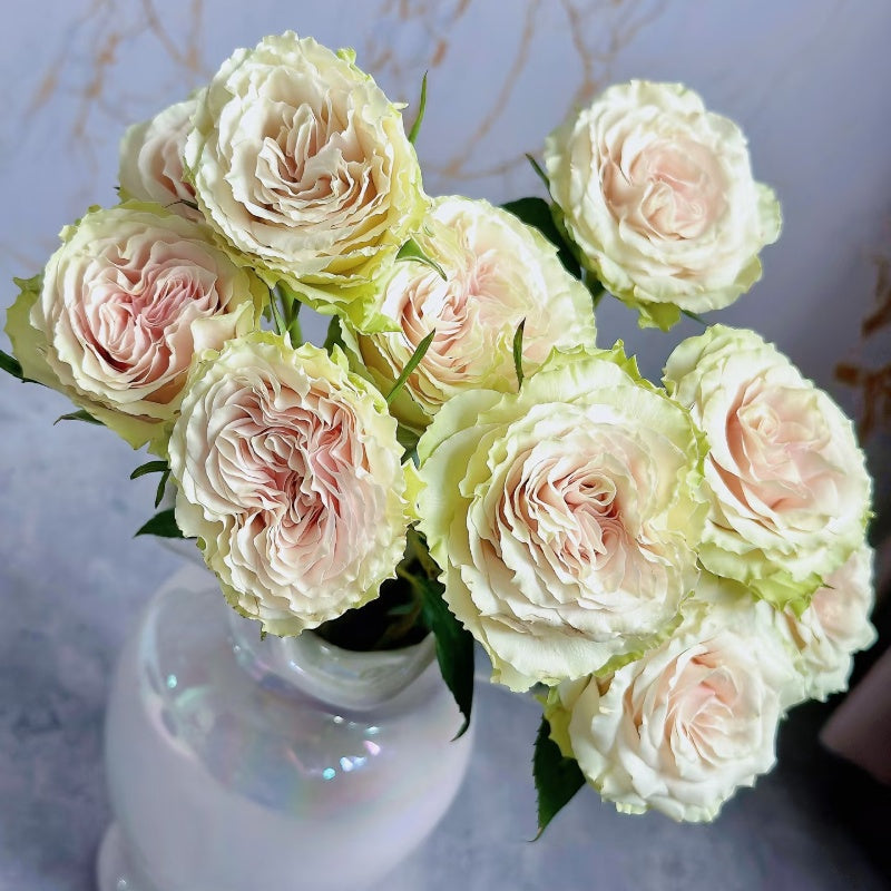 Wakana Rose