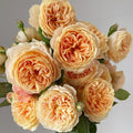 Crown Princess Margareta Rose