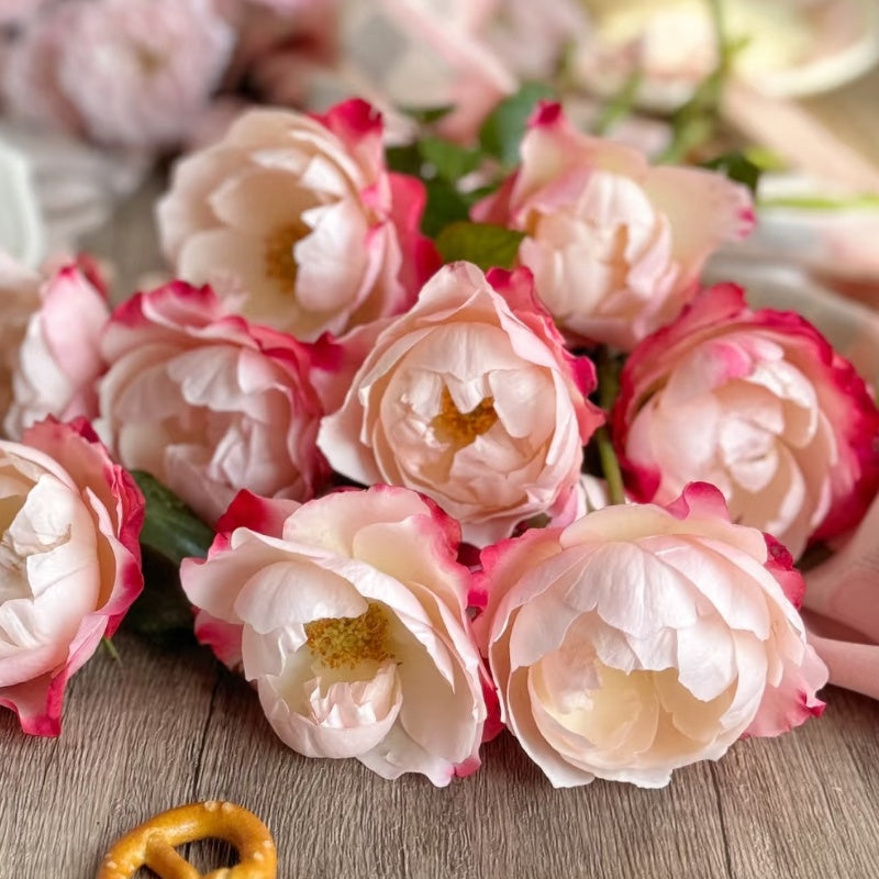 Nostalgie Rose