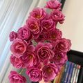 Aoi Rose