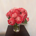 Lady Candle Rose