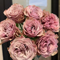Bourbon Street Rose