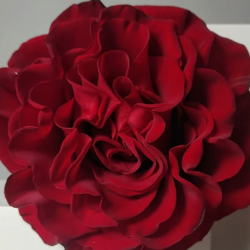 Hearts Rose