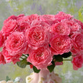 CorAll gelee Rose