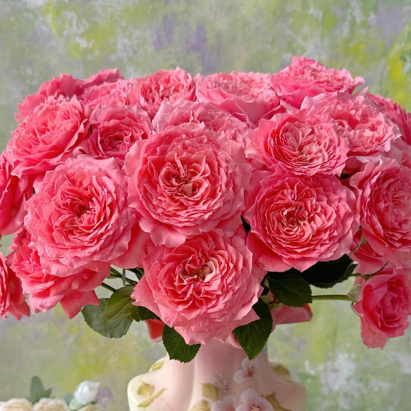 CorAll gelee Rose