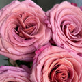 Single Malt Rose